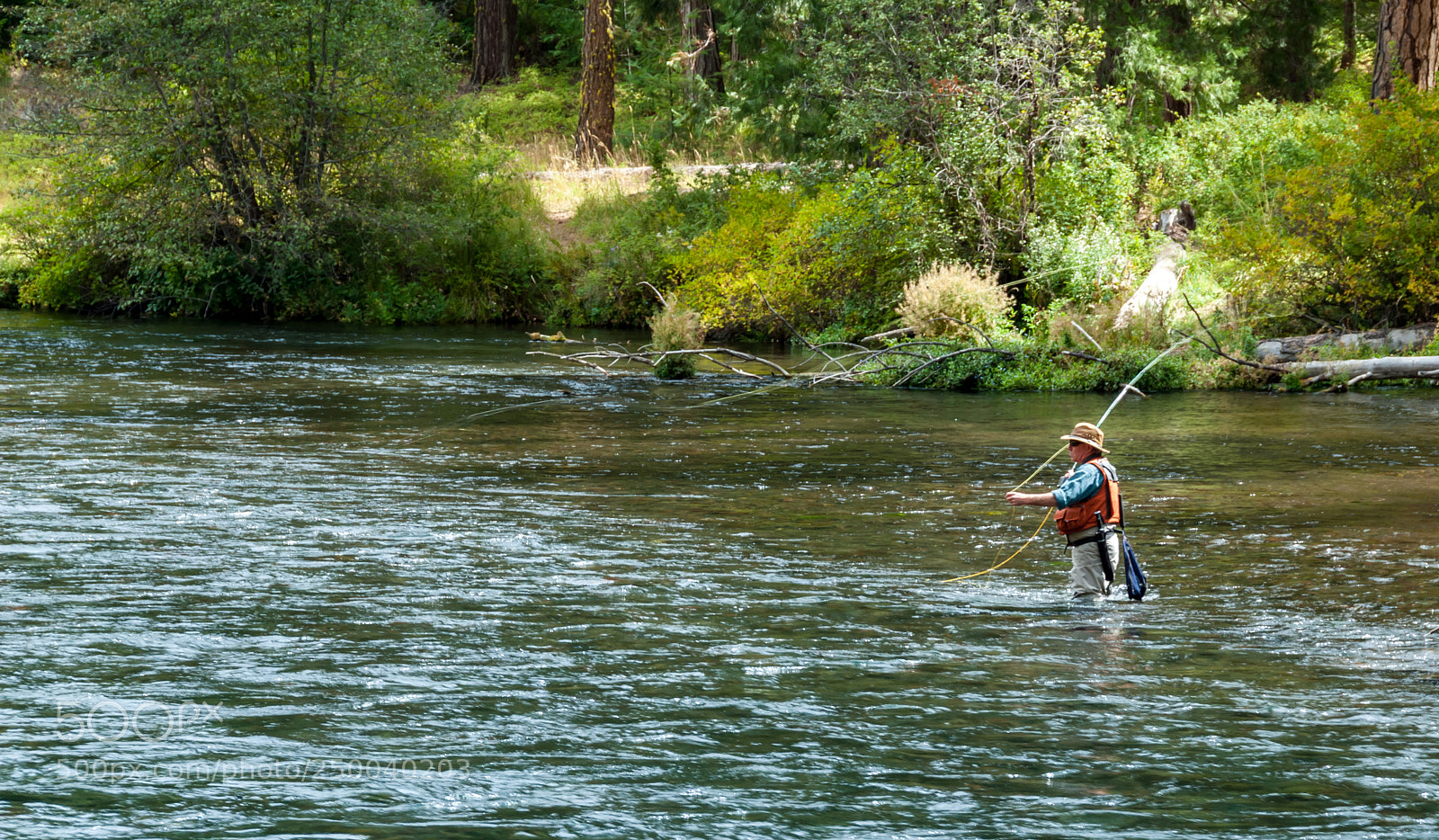 Nikon D200 sample photo. Fly fishing the metolius photography