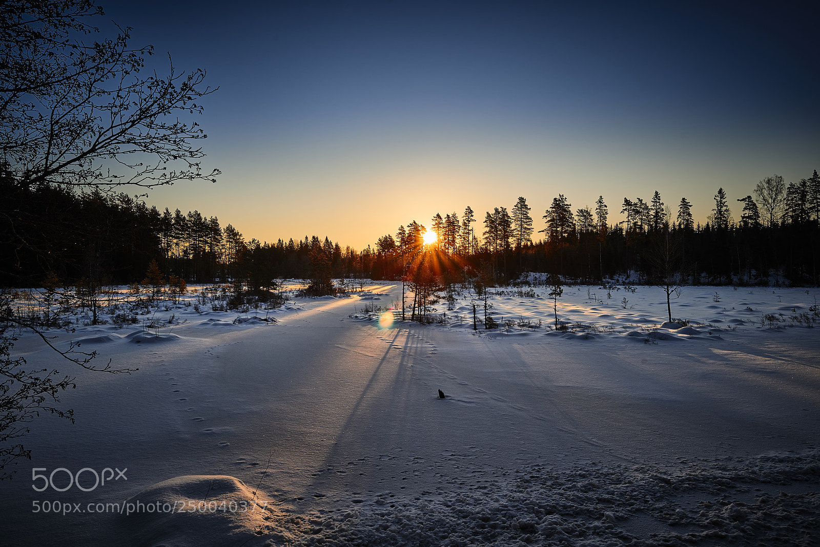Nikon D800E sample photo. Sunlight photography