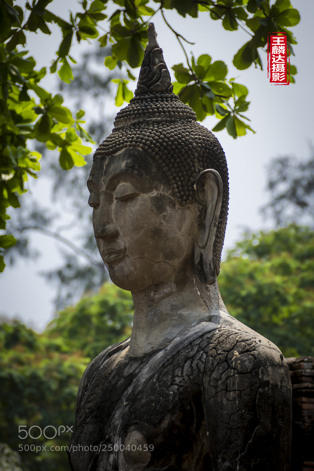 Canon EOS 60D sample photo. Burned photography