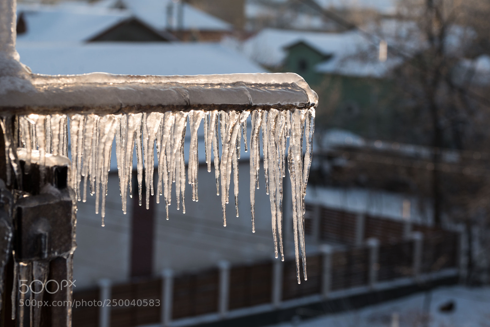 Nikon D610 sample photo. Ice photography