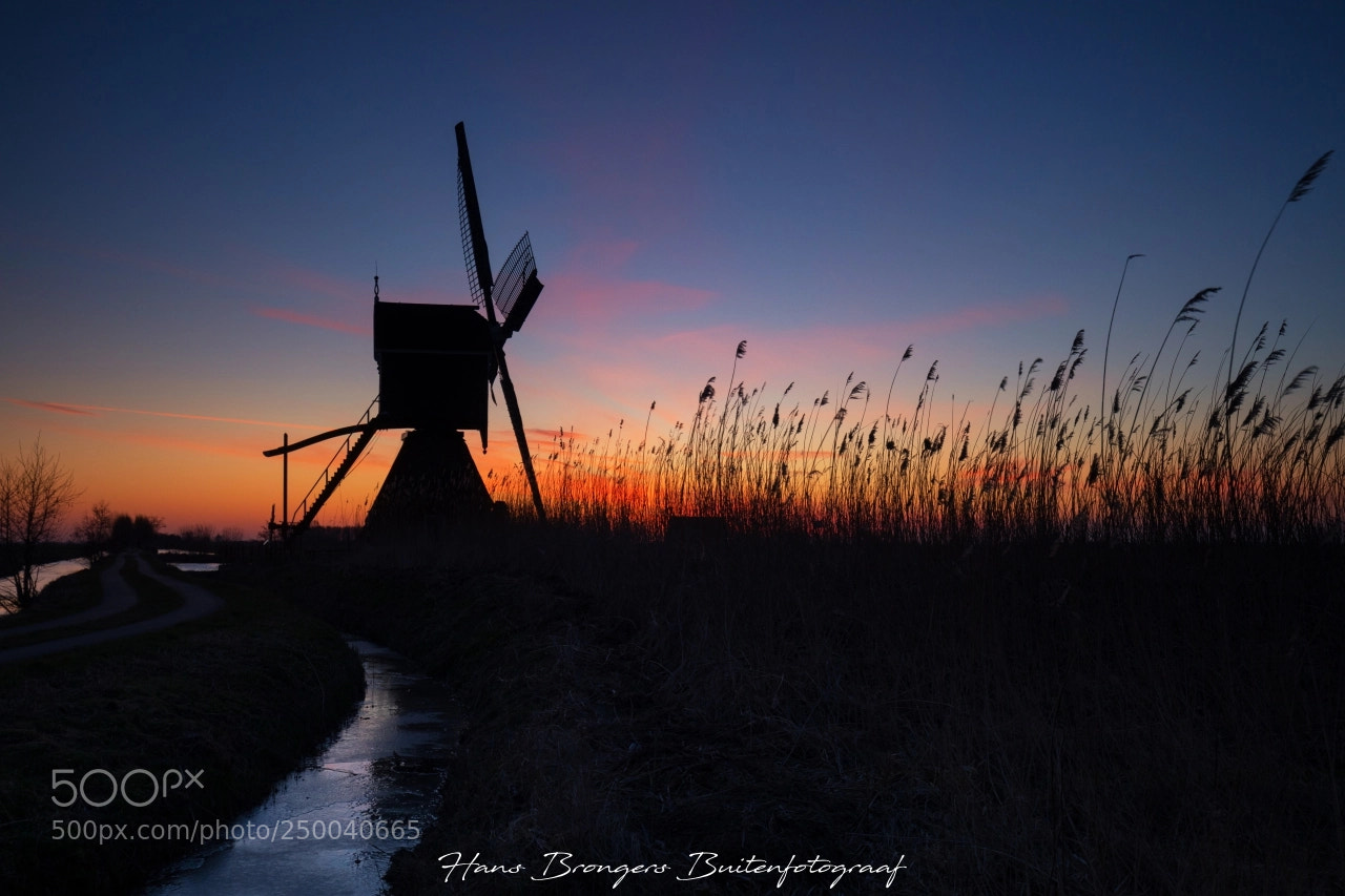 Canon EOS 5D Mark IV sample photo. Windmill in blue photography