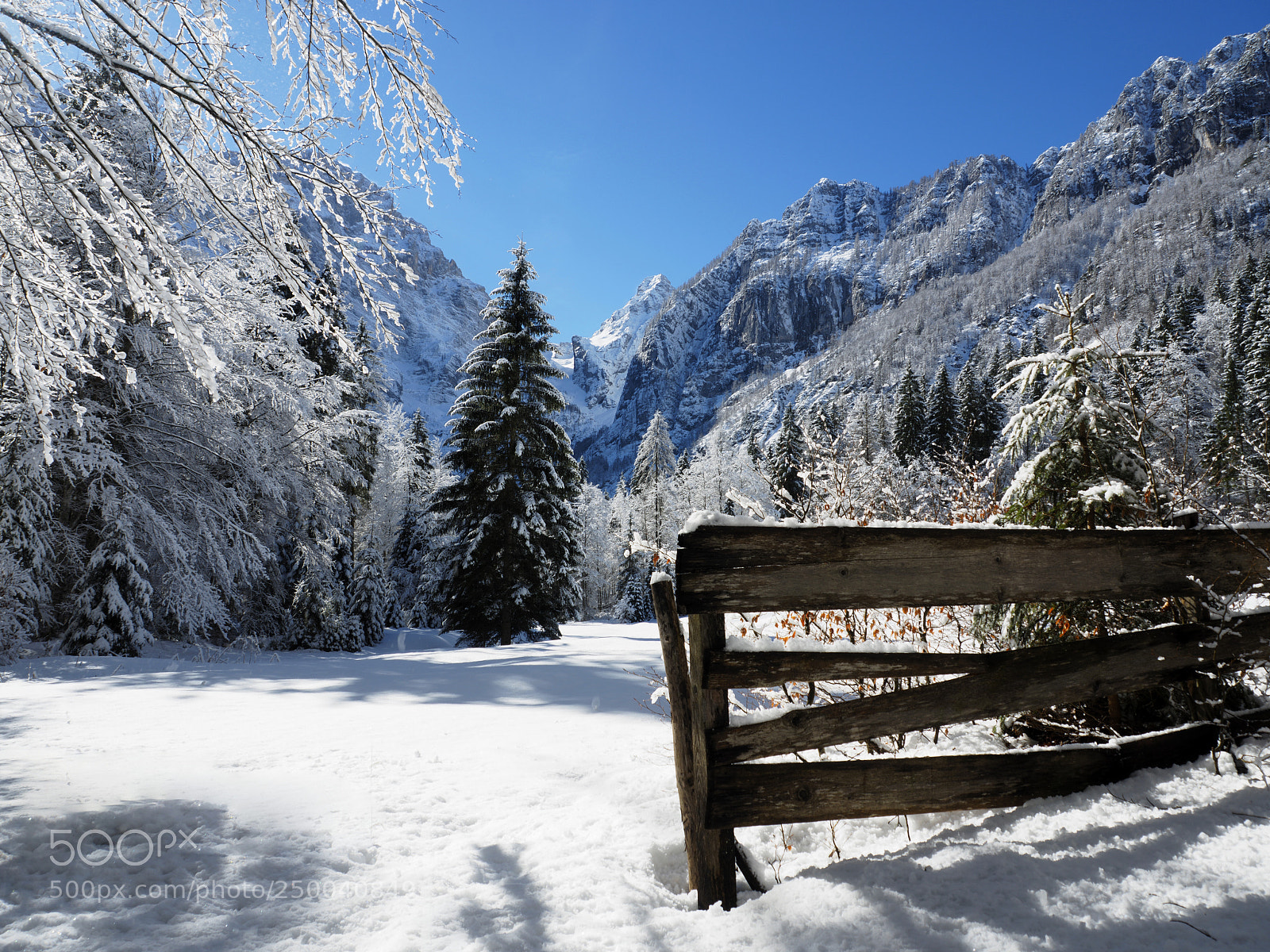 Olympus OM-D E-M5 II sample photo. Winter alpine meadow in photography