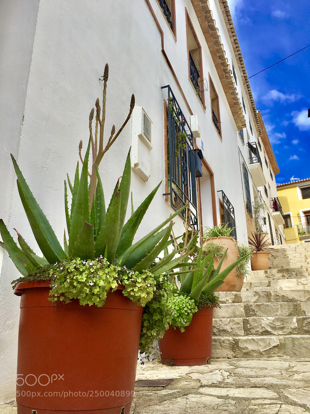 Apple iPad Pro sample photo. Carrer sant roc photography
