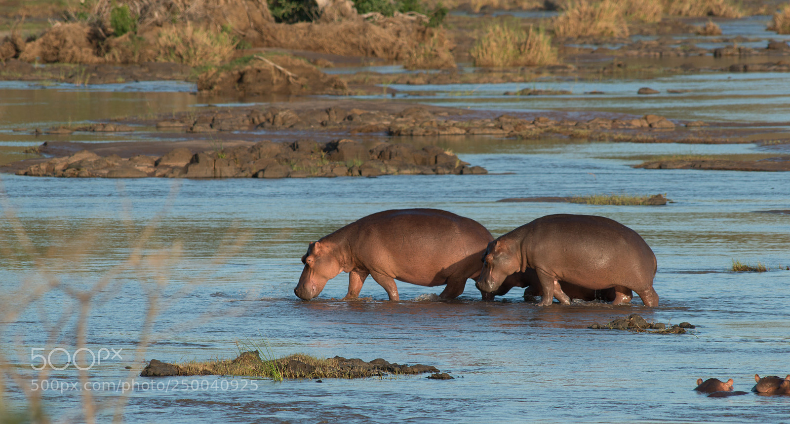 Nikon D800 sample photo. Lack of water photography