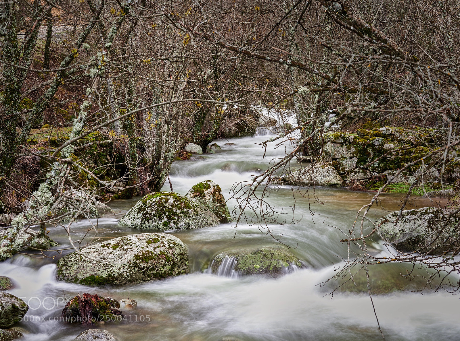 Olympus OM-D E-M1 Mark II sample photo. The stream photography