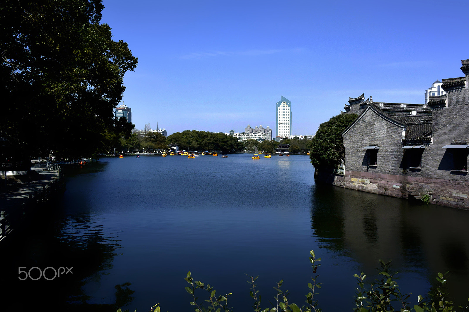 Nikon 1 V3 sample photo. 副本 photography