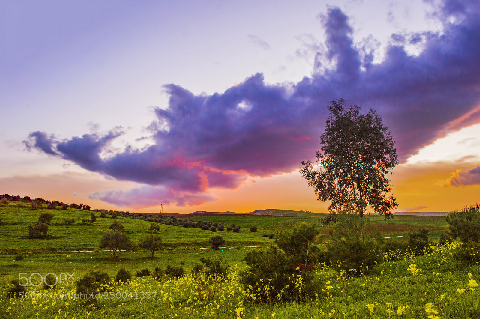 Nikon D3200 sample photo. Purple sunset photography