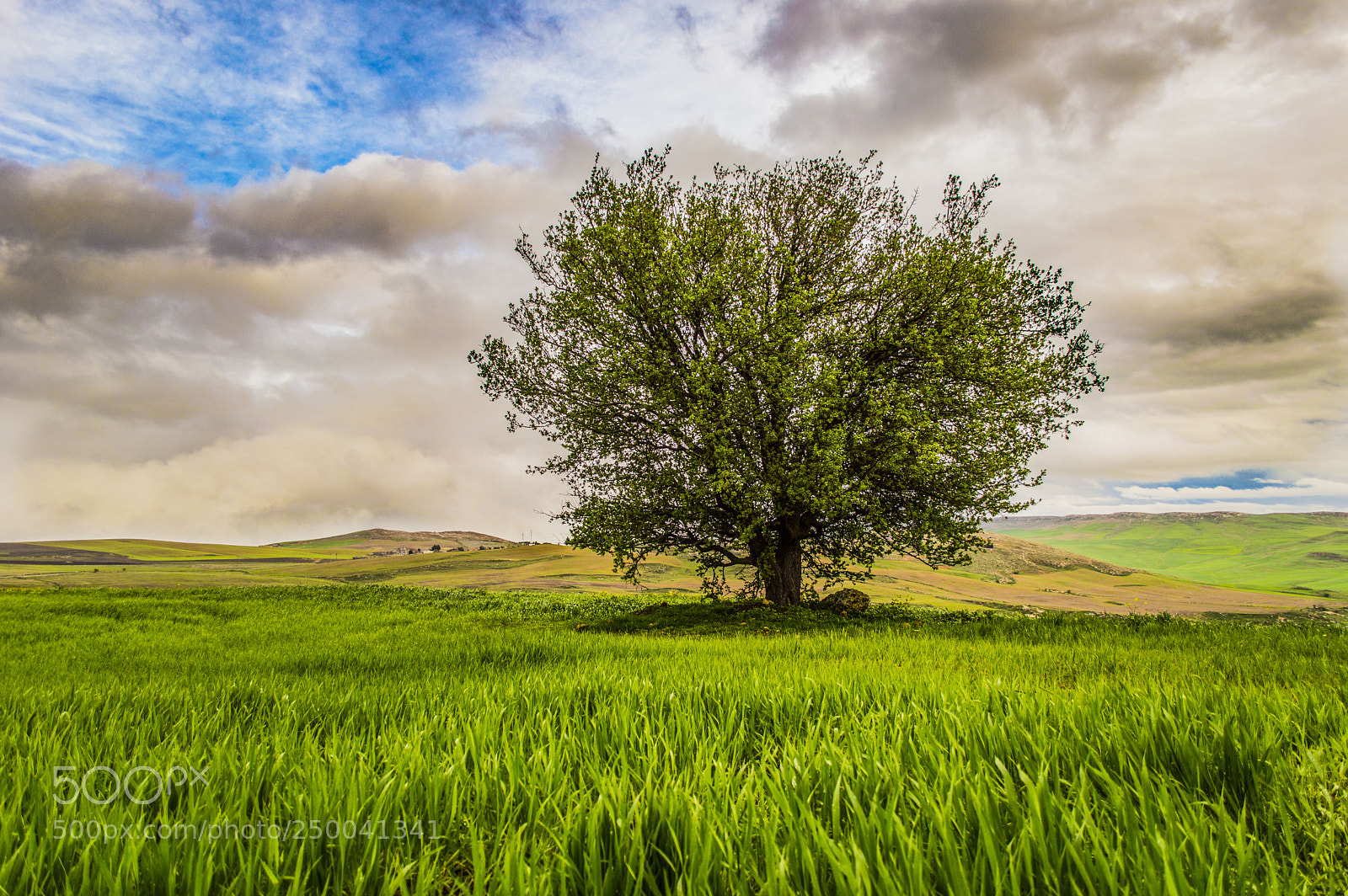 Nikon D3200 sample photo. Alone in nature 02 photography