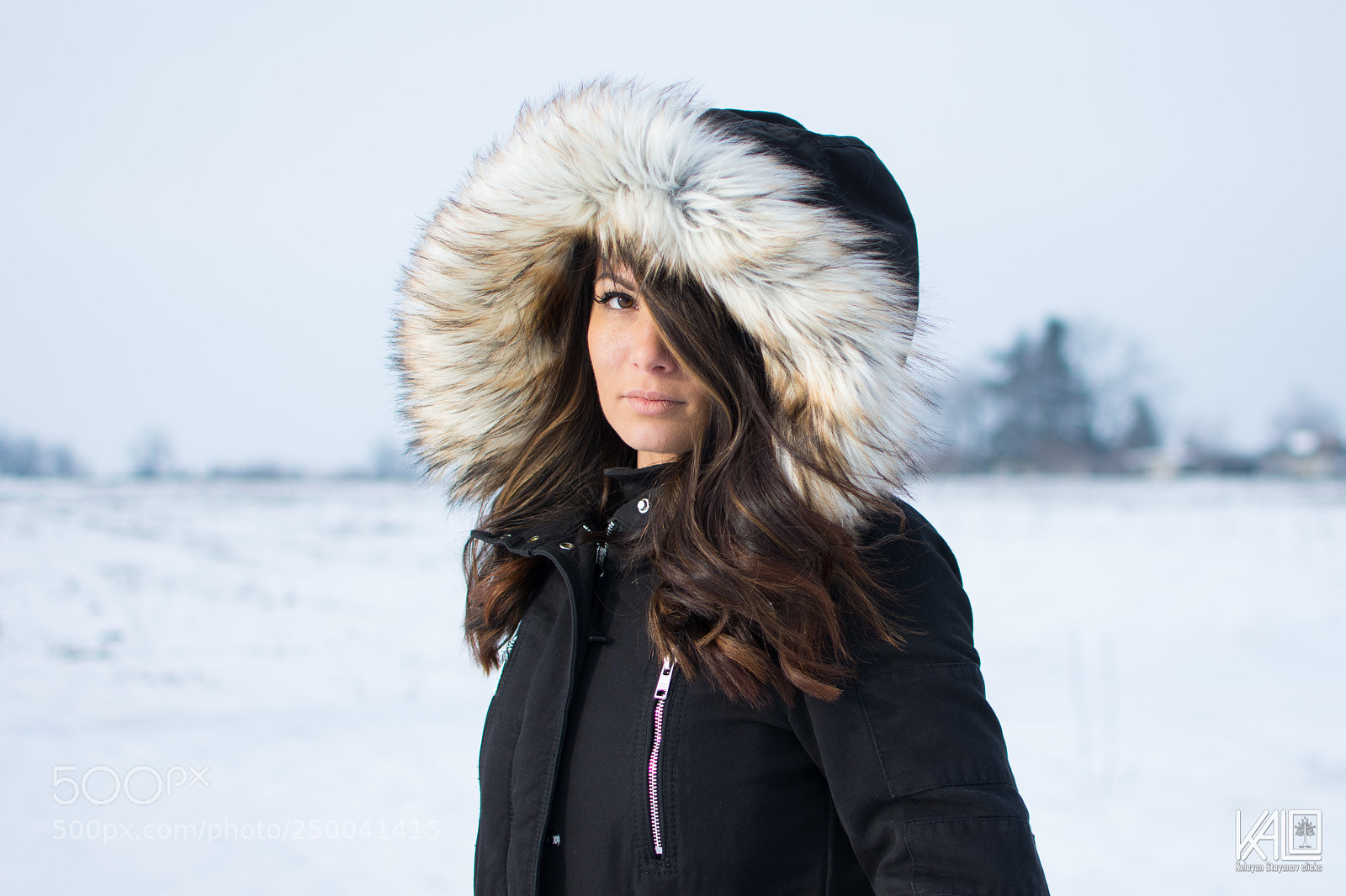 Nikon D7200 sample photo. Winter beauty photography