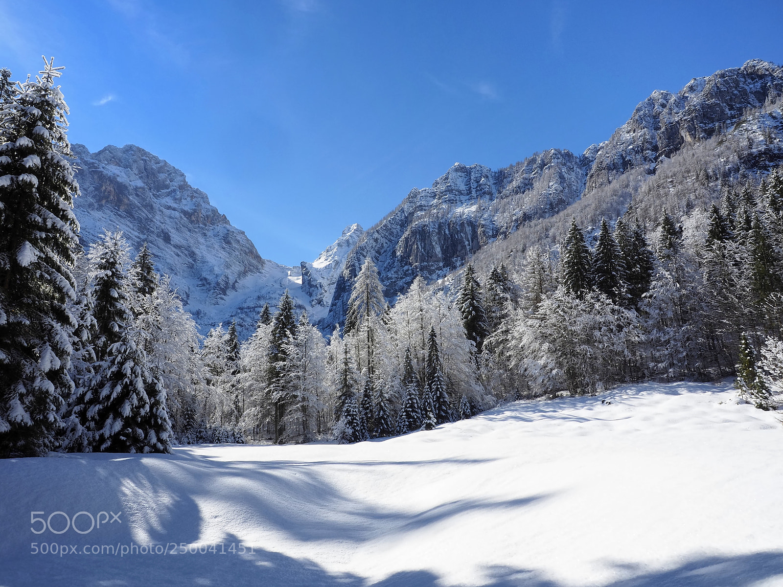 Olympus OM-D E-M5 II sample photo. Winter alpine meadow in photography