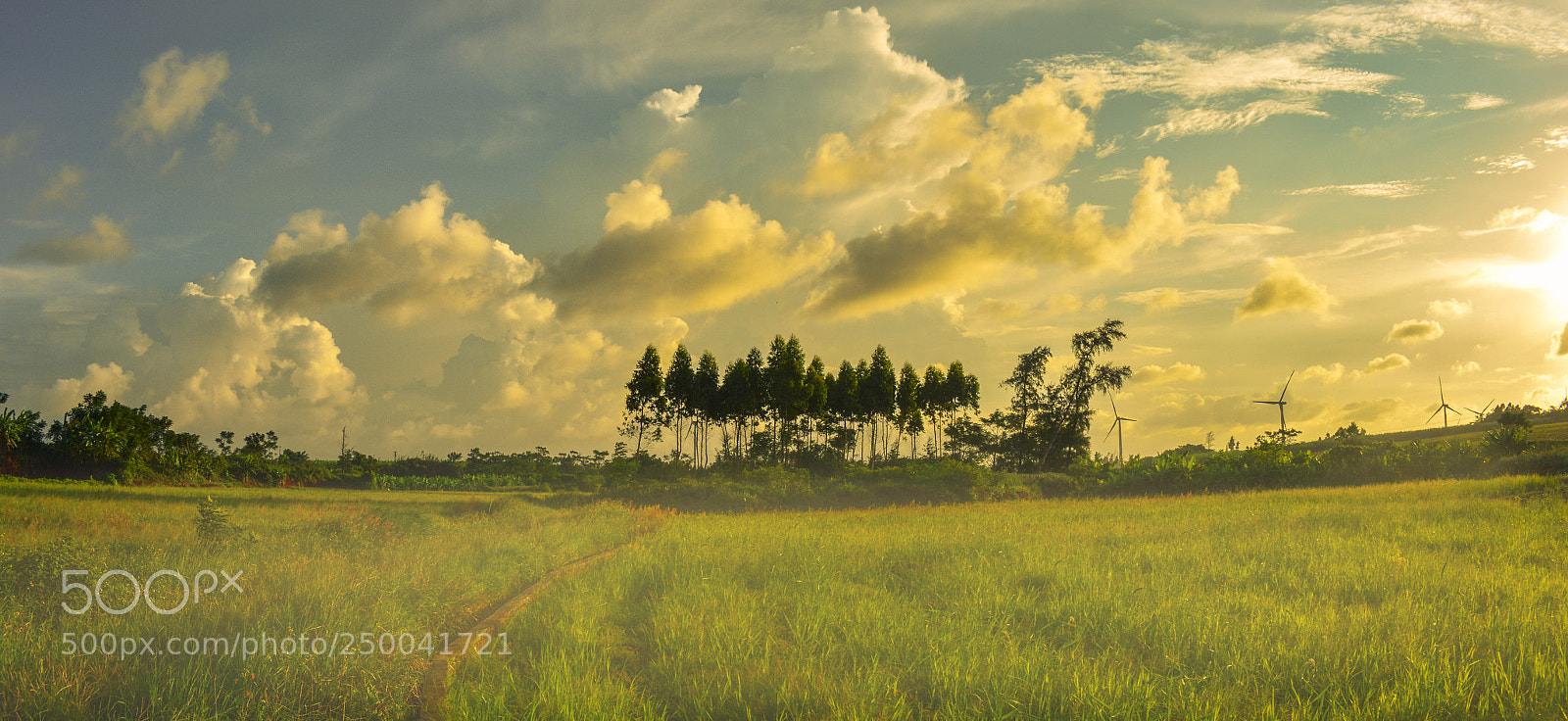 Nikon D7100 sample photo. The setting sun of photography