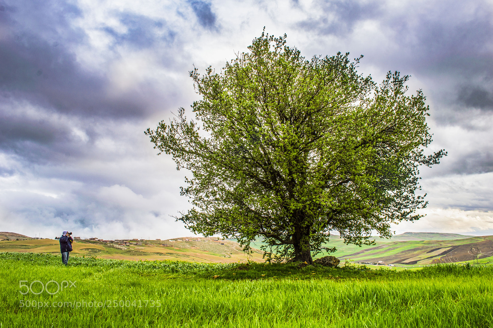 Nikon D3200 sample photo. Big nature photography