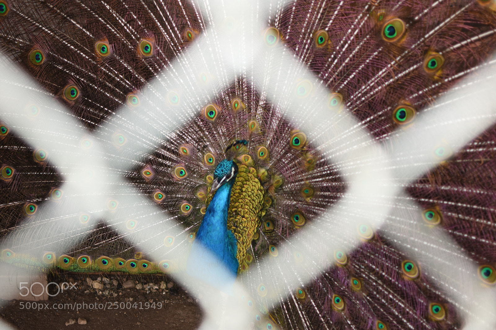 Nikon D7200 sample photo.  captured beauty photography