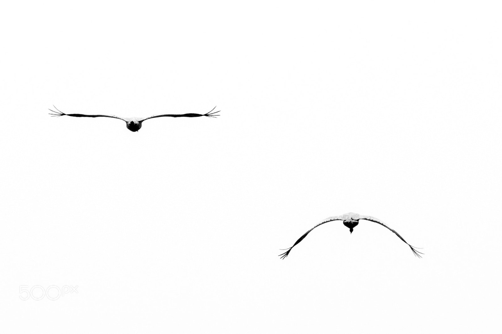 Nikon D7100 sample photo. A line and a photography