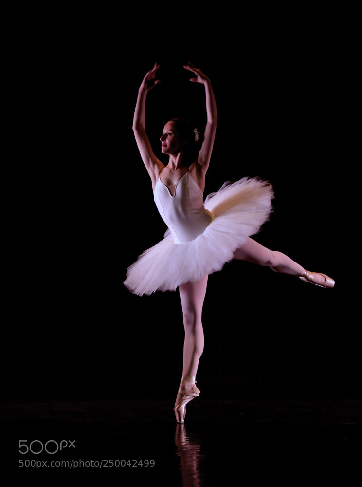 Canon EOS 50D sample photo. Danse classique 2 photography
