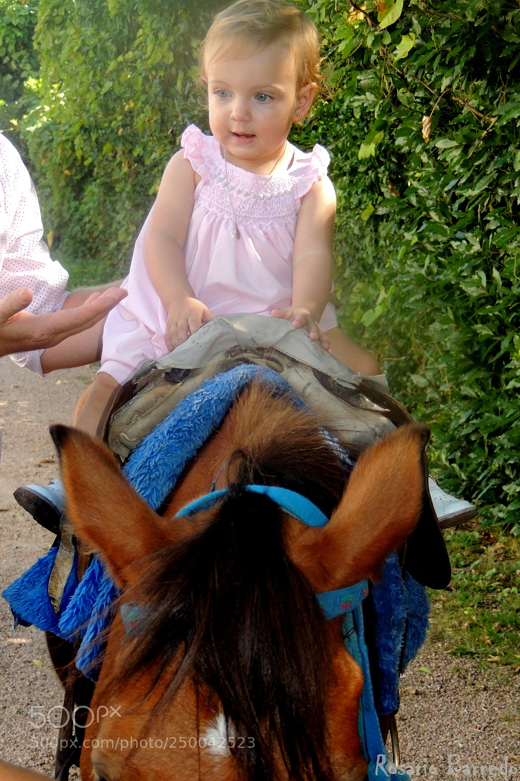 Nikon Coolpix P510 sample photo. Lola a caballo photography