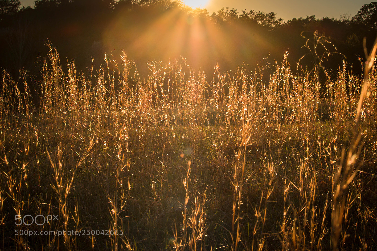 Canon EOS 70D sample photo. Evening glow on the photography