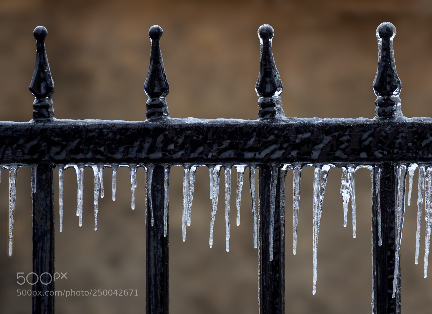 Canon EOS 600D (Rebel EOS T3i / EOS Kiss X5) sample photo. The winter last writhing photography