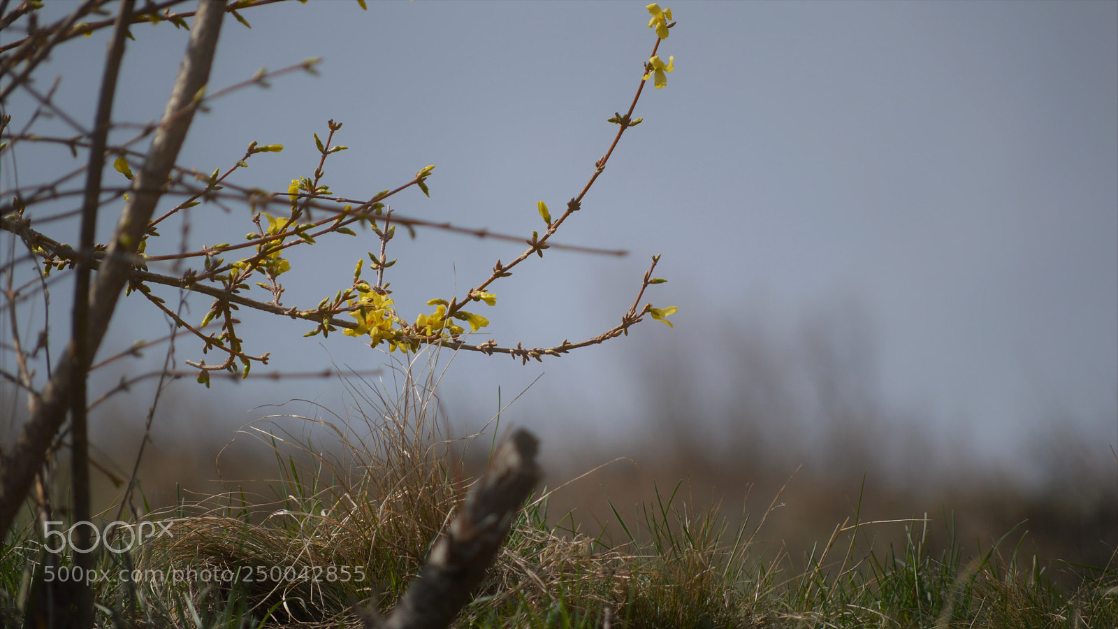 Nikon D3200 sample photo. Untitled photography