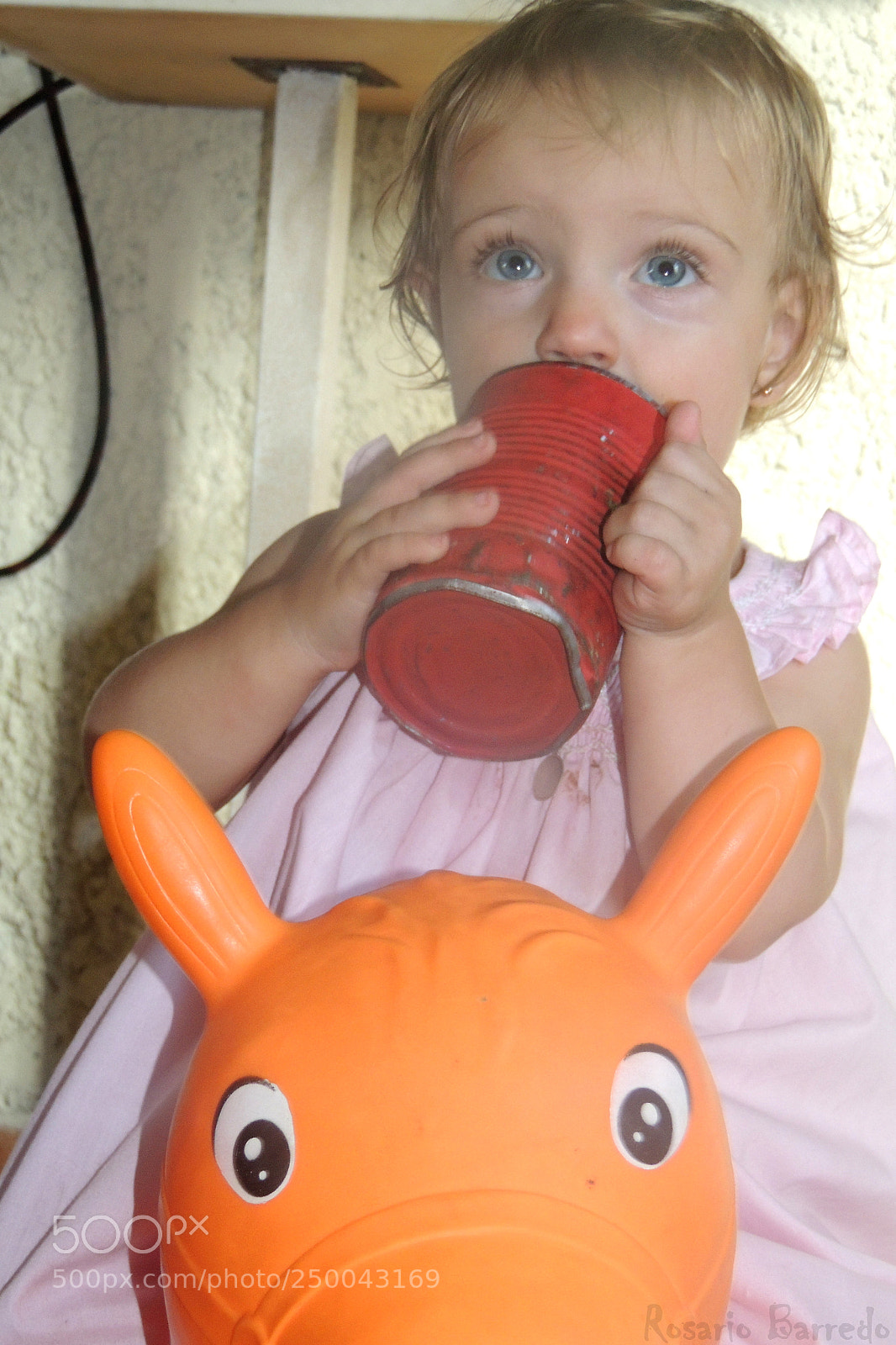 Nikon Coolpix P510 sample photo. Lola jugando en su photography