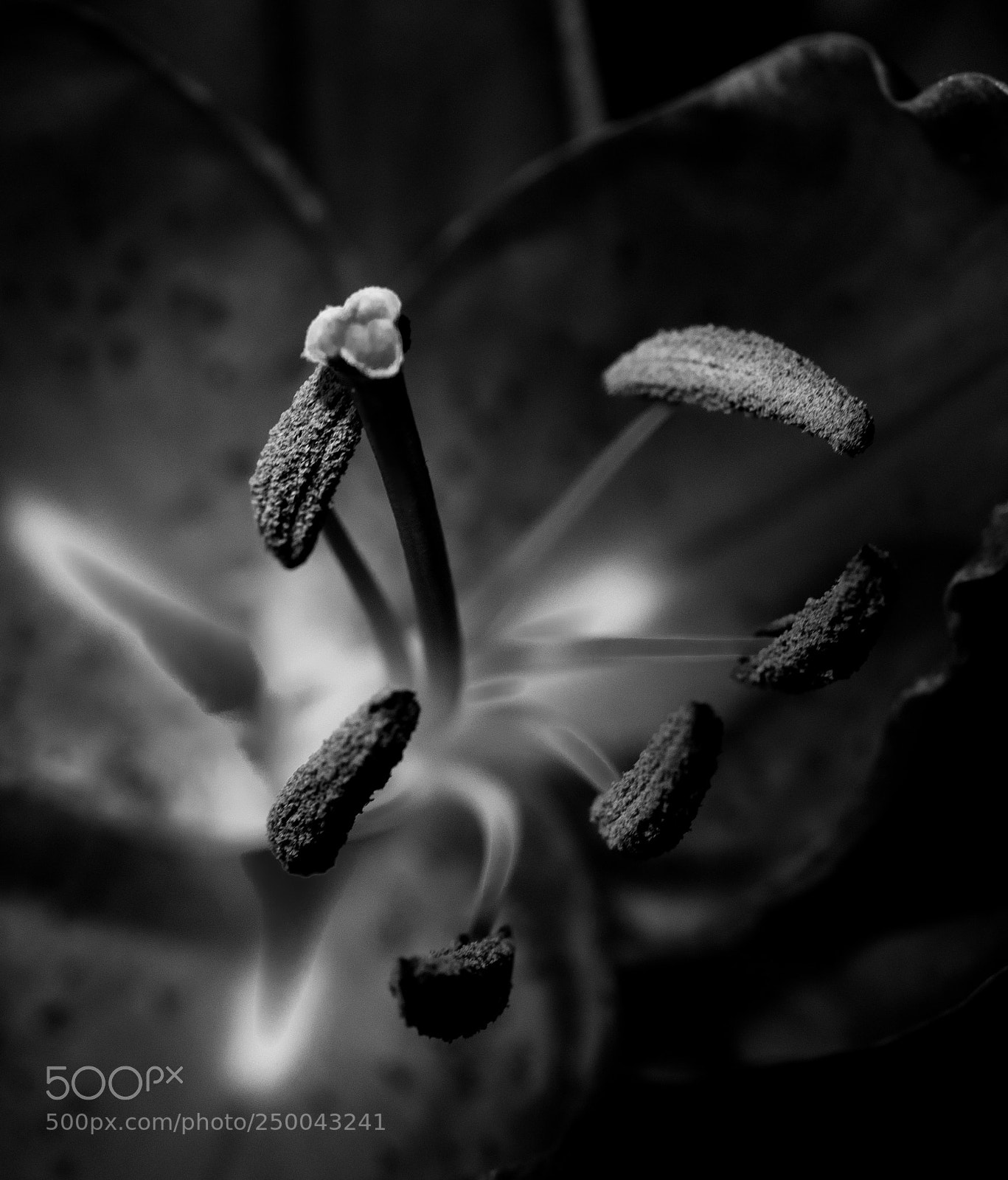 Nikon D850 sample photo. Edit photography
