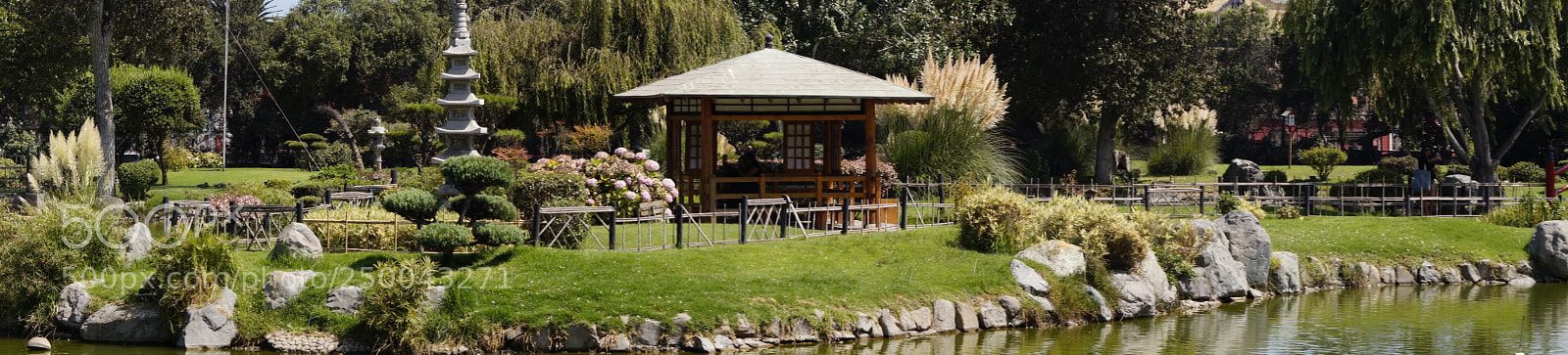 Sony SLT-A58 sample photo. Jardin japones photography
