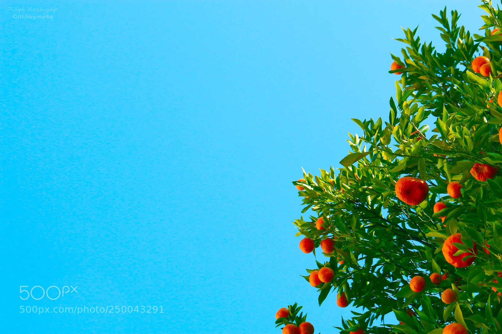 Canon EOS 70D sample photo. Fruity sky photography