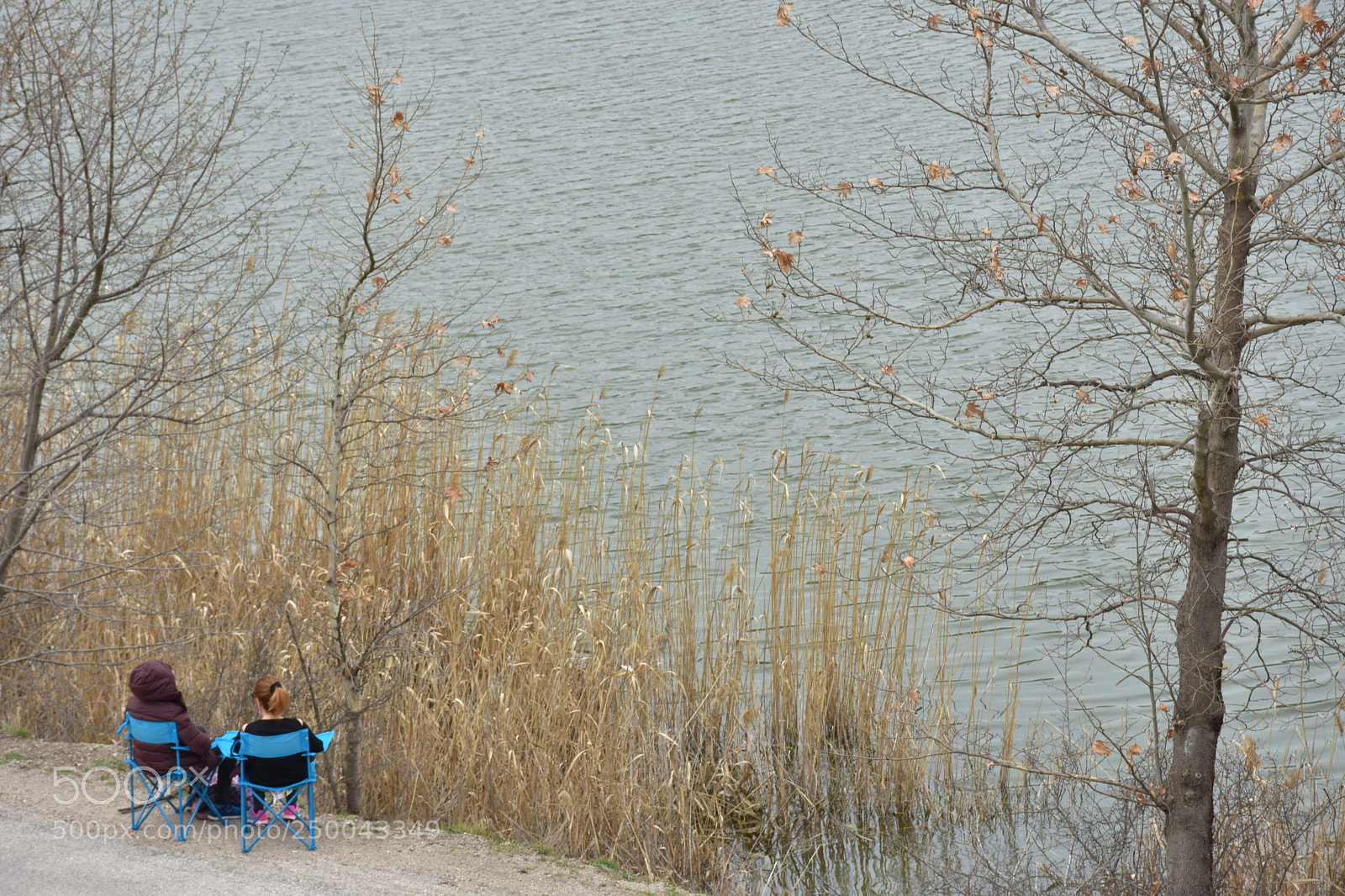 Nikon D7200 sample photo. Dinlenme photography