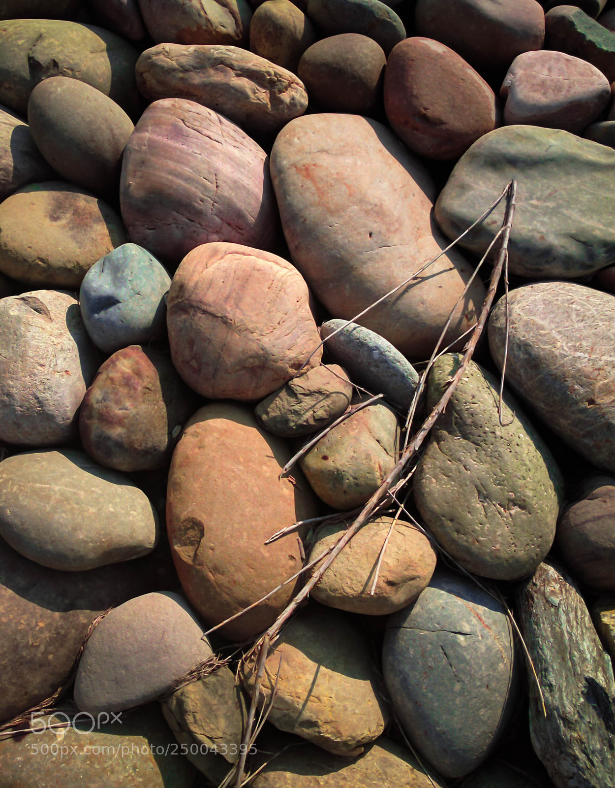 Google Nexus 6P sample photo. Pebbles photography
