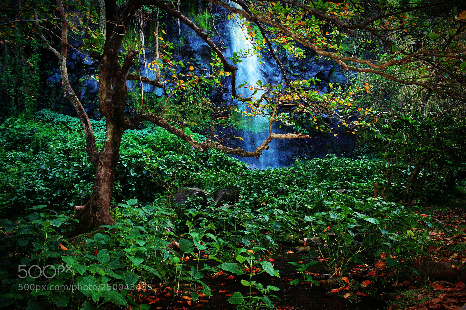 Canon EOS 20D sample photo. 974 waterfall photography