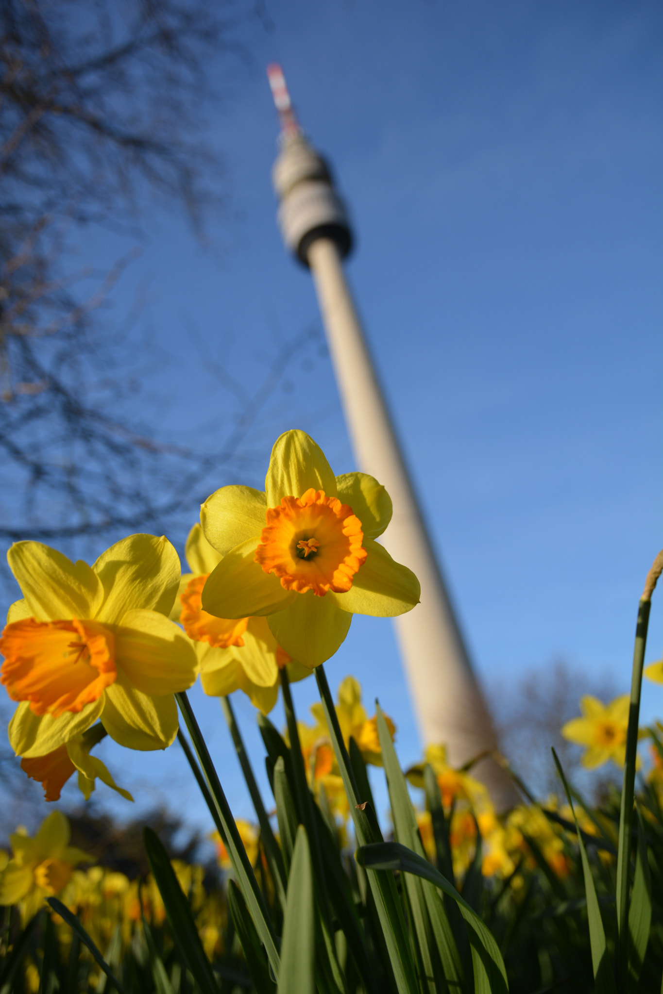 Nikon D5200 sample photo. Florian photography