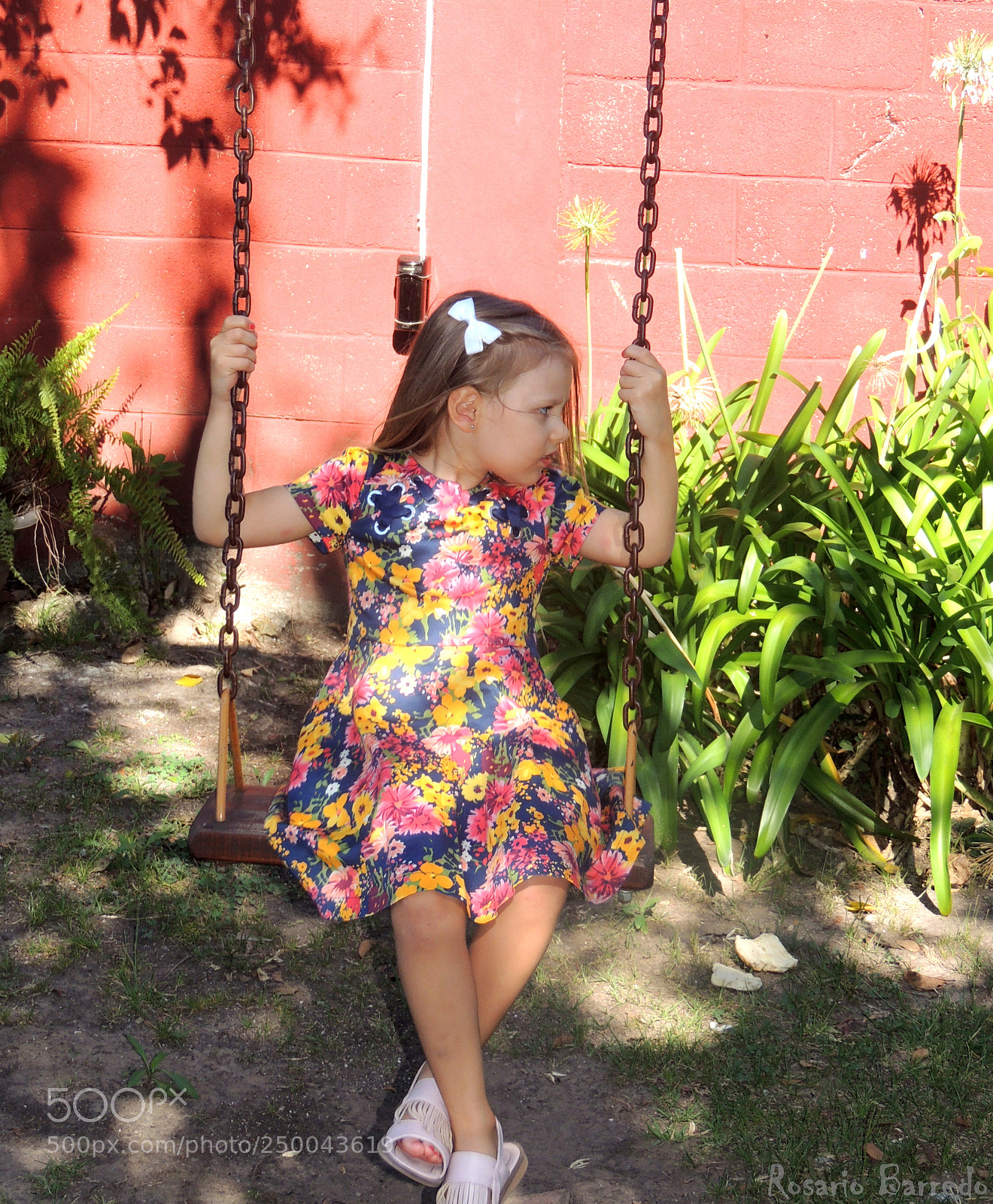 Nikon Coolpix P510 sample photo. Delfi photography