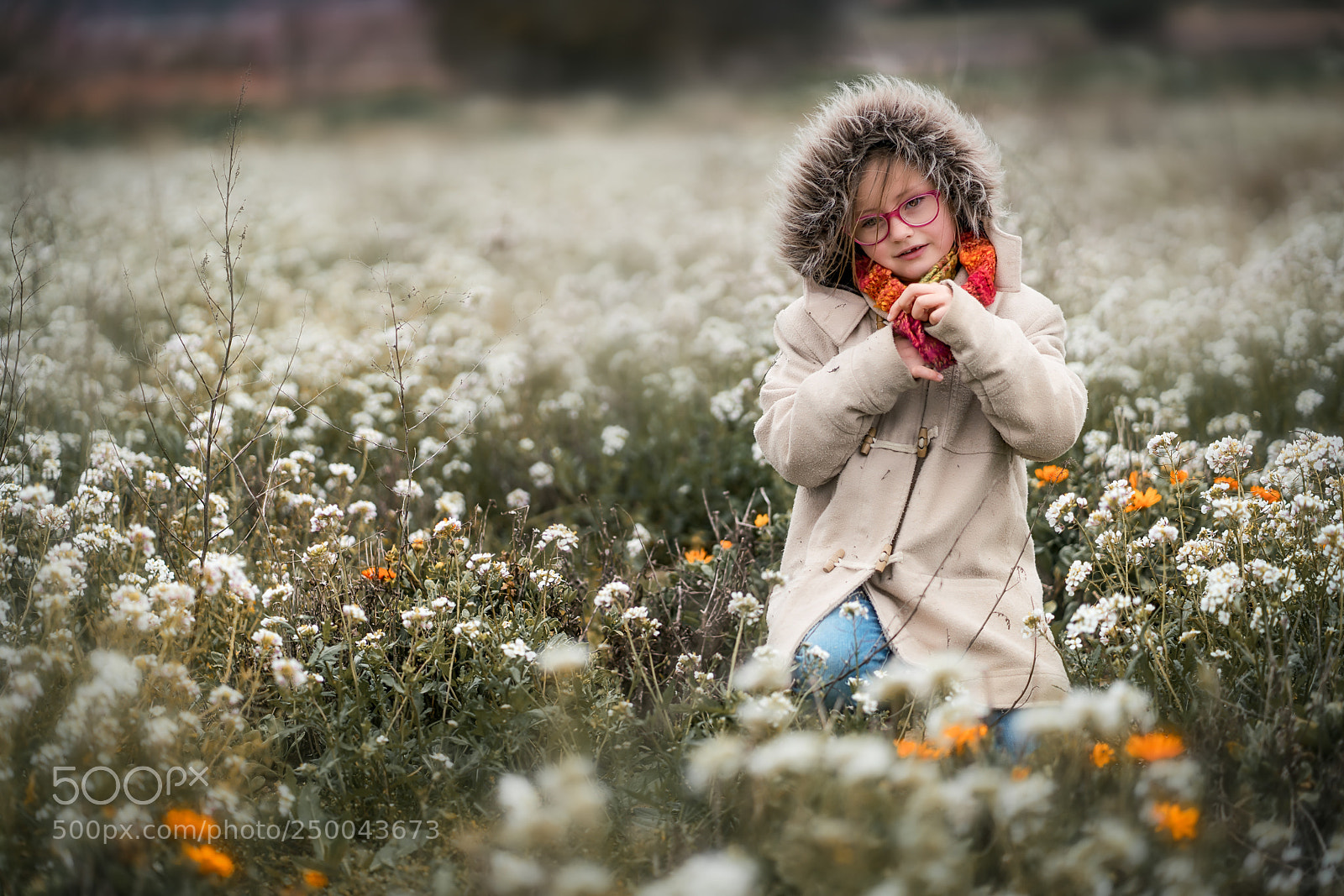 Sony a7R II sample photo. A thousand and one photography