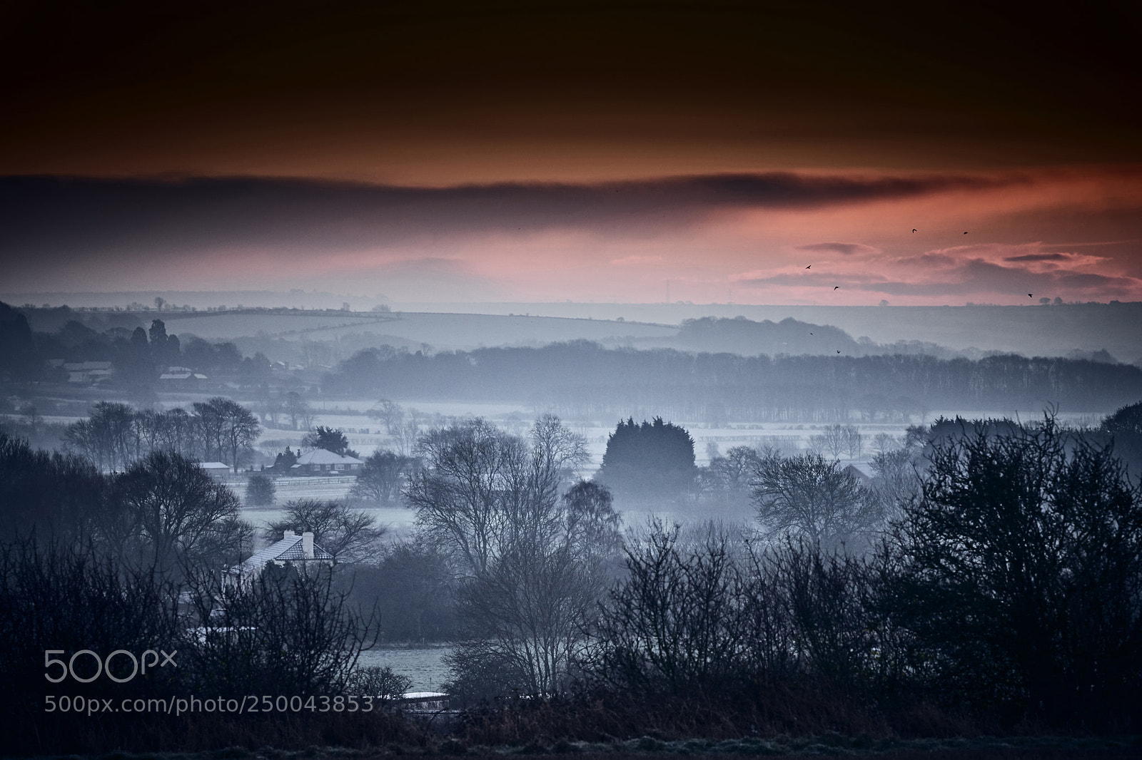Leica SL (Typ 601) sample photo. Lincolnshire mist photography