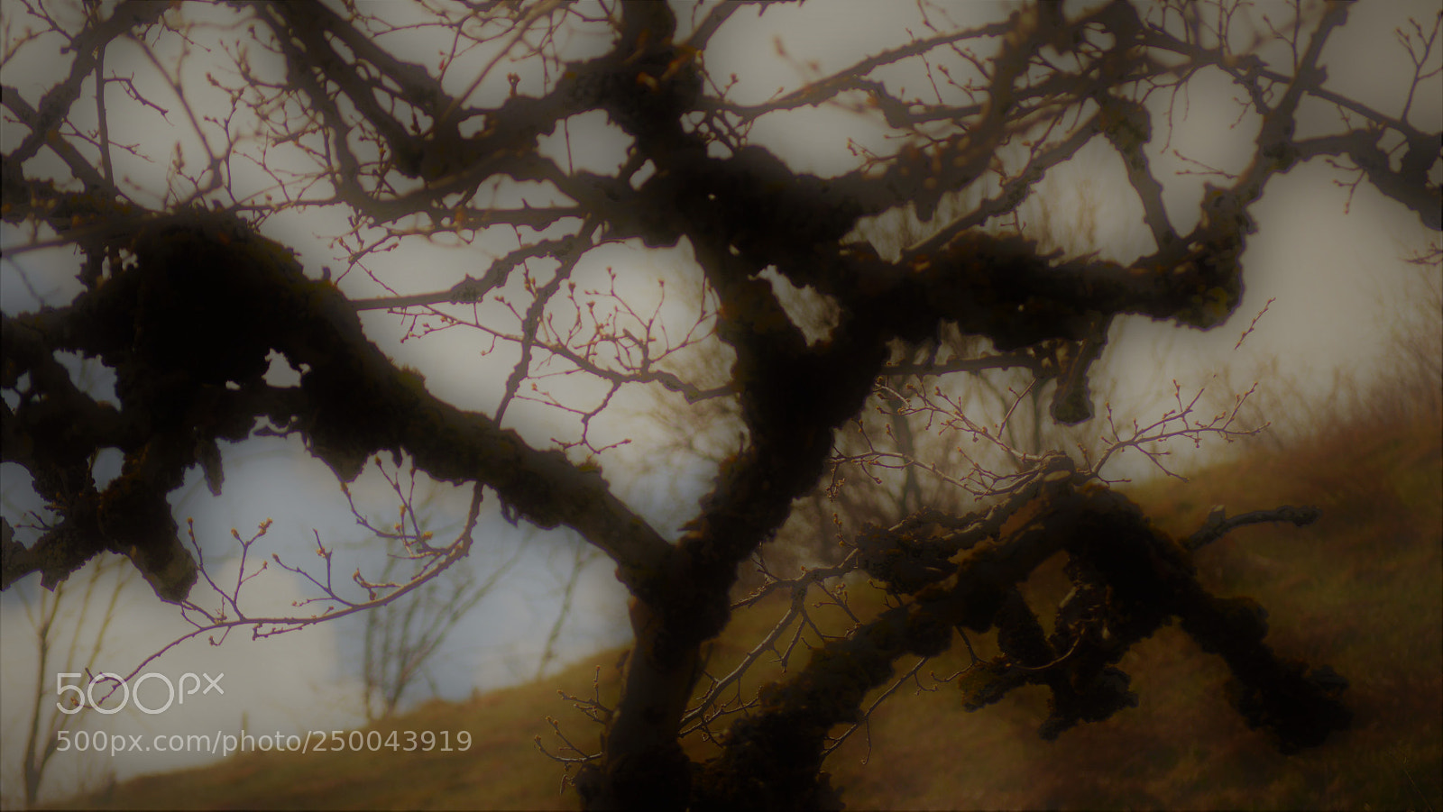 Nikon D3200 sample photo. Untitled photography