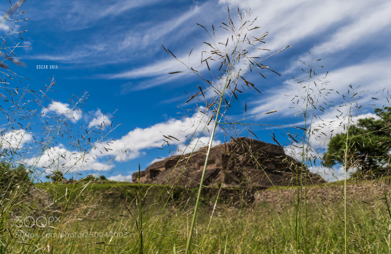 Nikon D3300 sample photo. Oaxaca photography