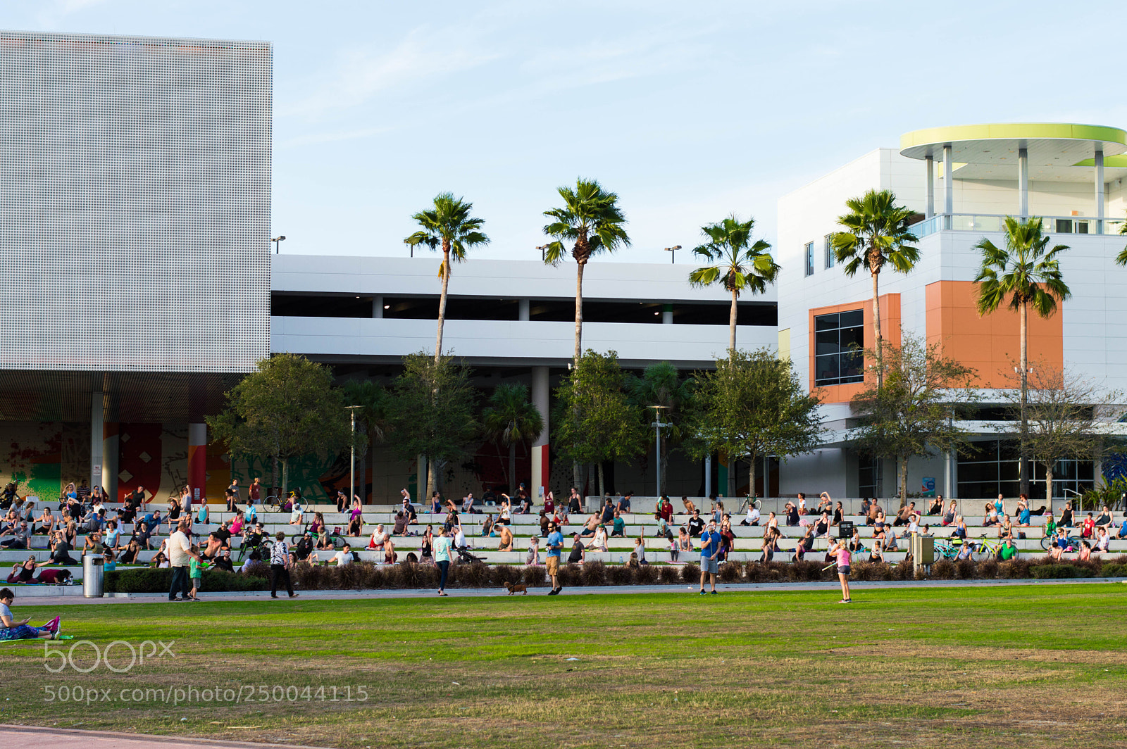 Nikon D3200 sample photo. Evening workout photography