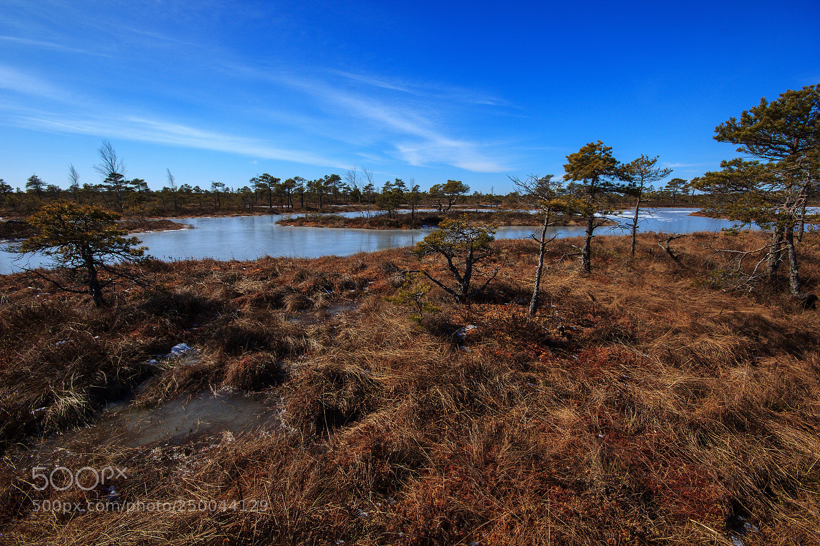 Canon EOS 60D sample photo. Ff photography