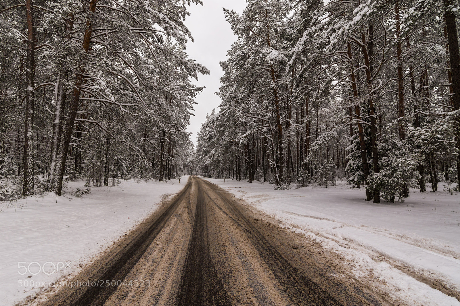 Nikon D7200 sample photo. Winter road photography