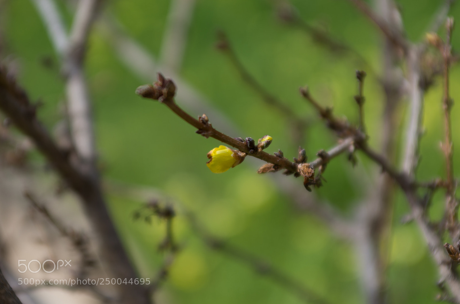 Pentax K-5 IIs sample photo. Probando testing tokina 28-70 photography