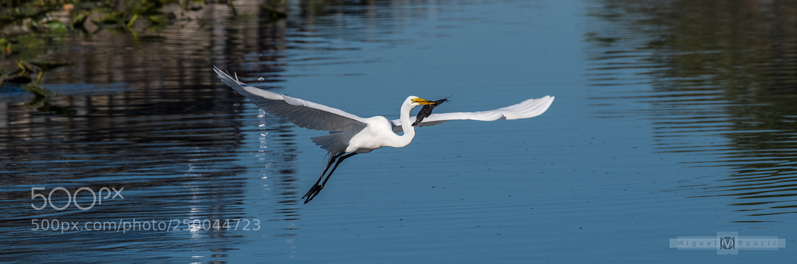 Nikon D850 sample photo. Fishing time photography