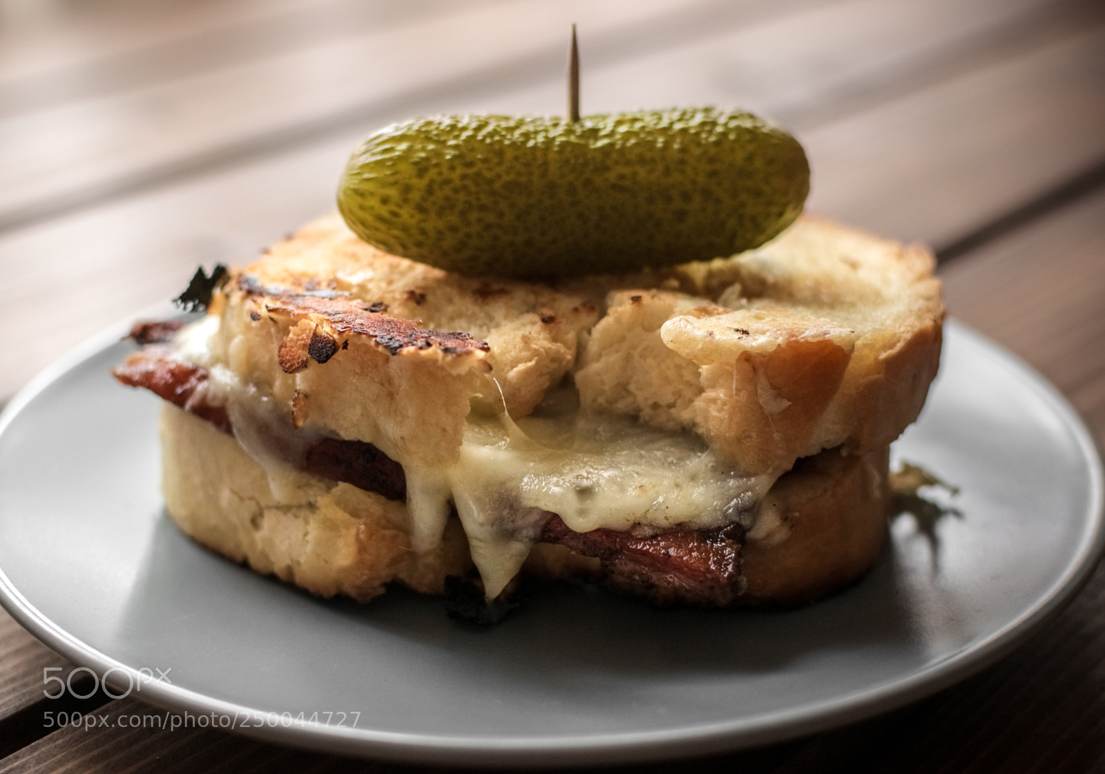 Nikon D5300 sample photo. Grilled cheese sandwich with photography