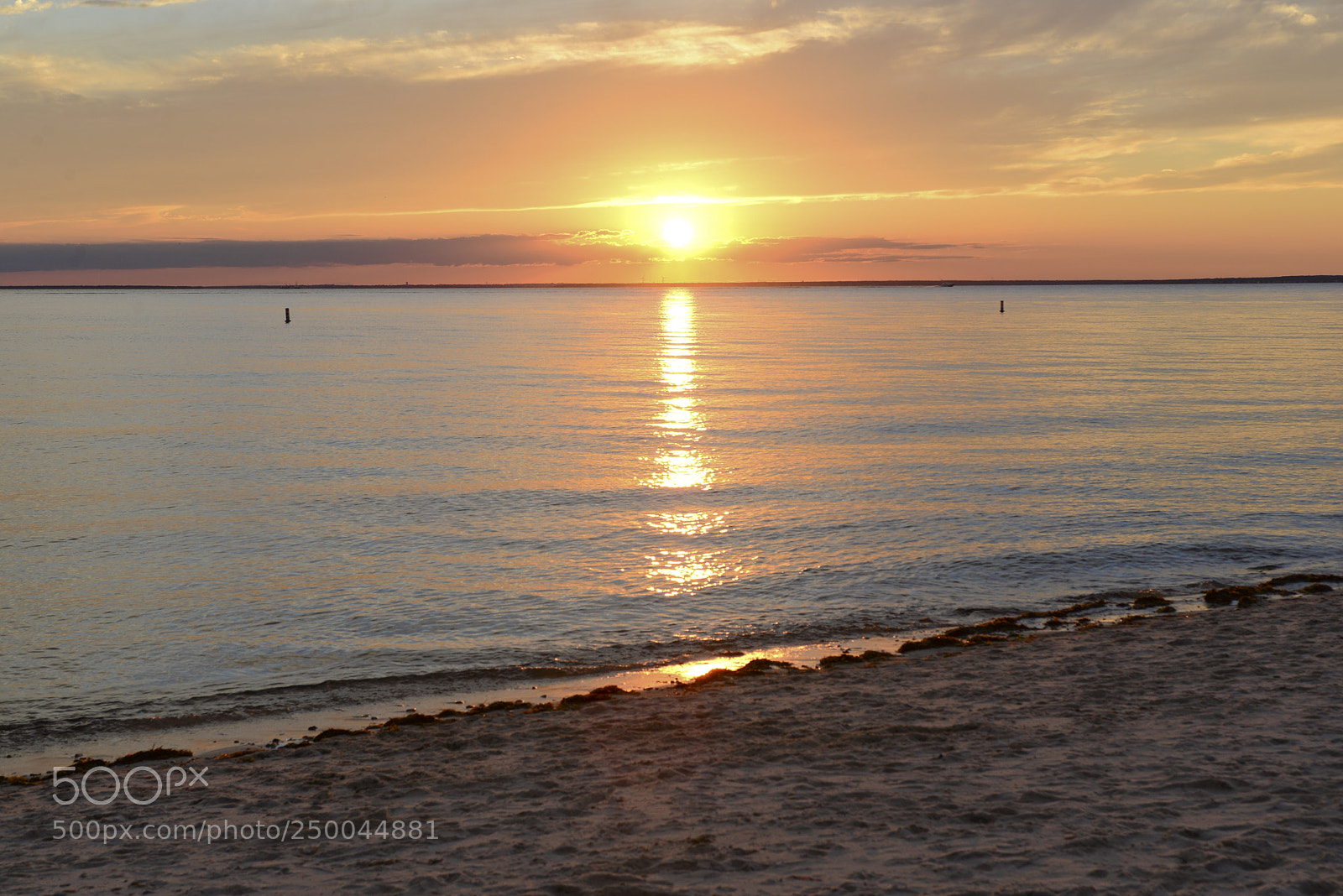 Nikon D600 sample photo. Old silver beach photography
