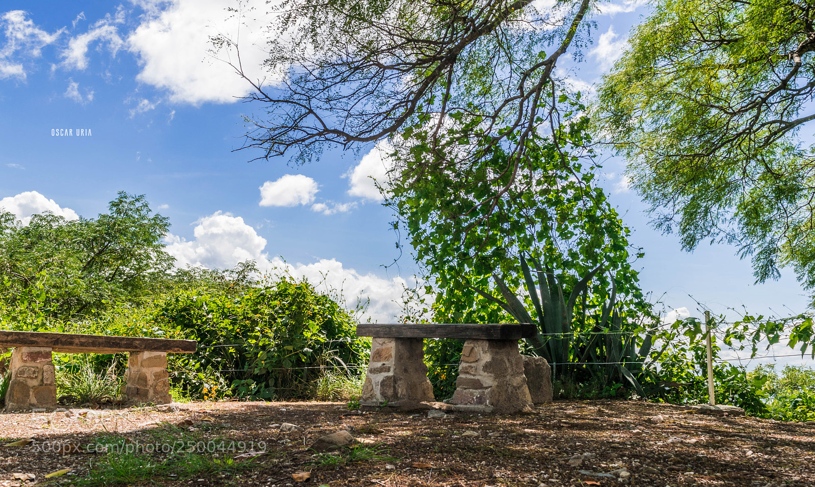 Nikon D3300 sample photo. Oaxaca photography