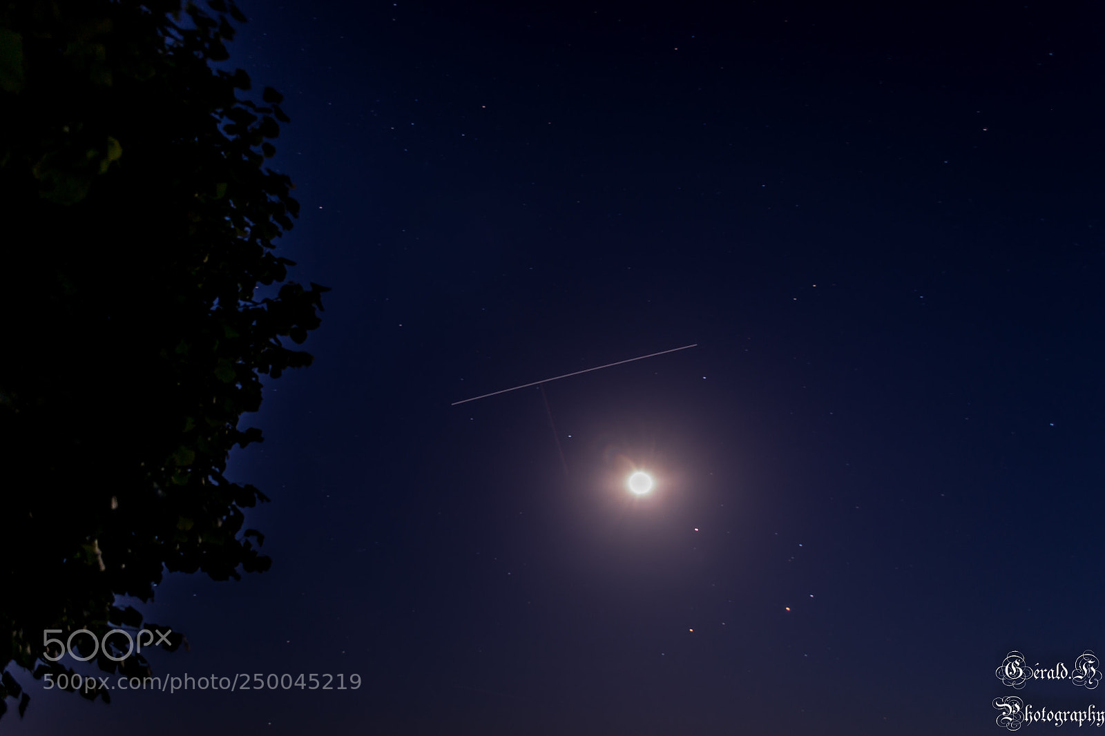 Nikon D3100 sample photo. En plein nuit photography