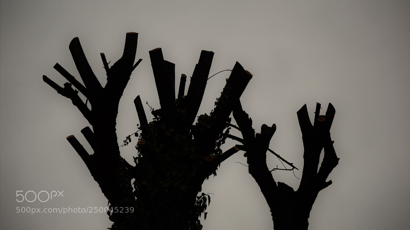 Nikon D3200 sample photo. Untitled photography