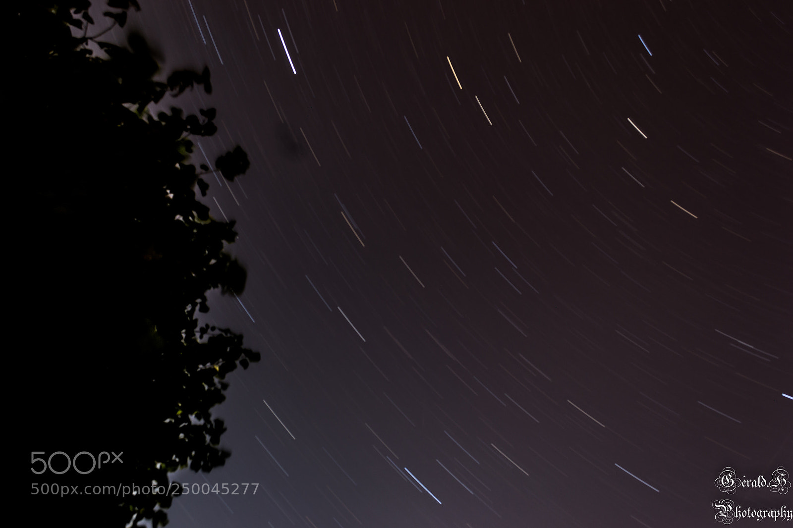 Nikon D3100 sample photo. En plein nuit photography