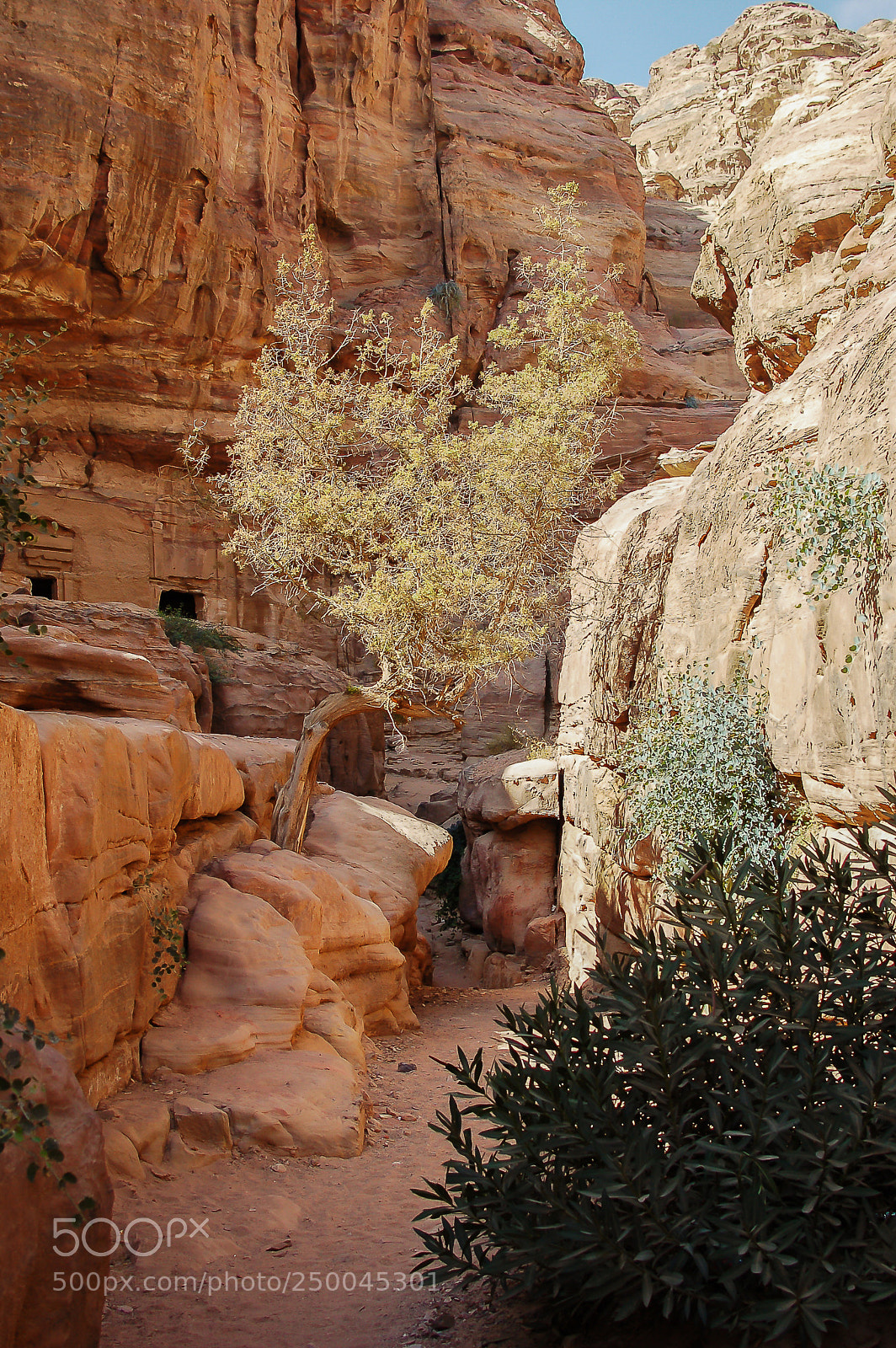 Nikon D50 sample photo. Way to deir temple photography