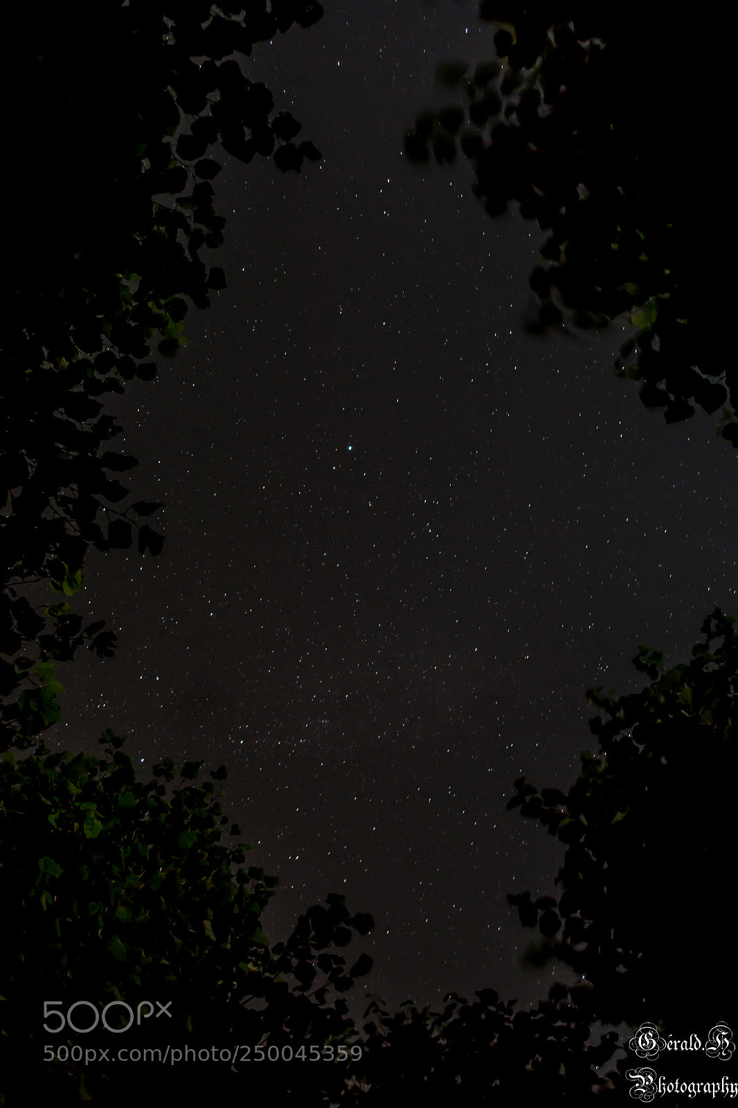 Nikon D3100 sample photo. En plein nuit photography