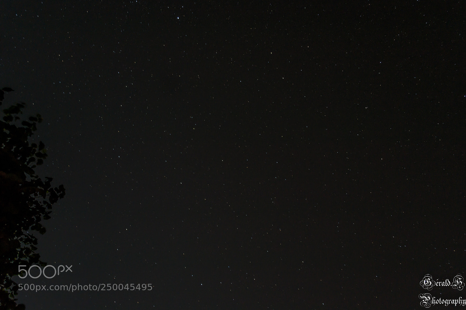 Nikon D3100 sample photo. Untitled photography